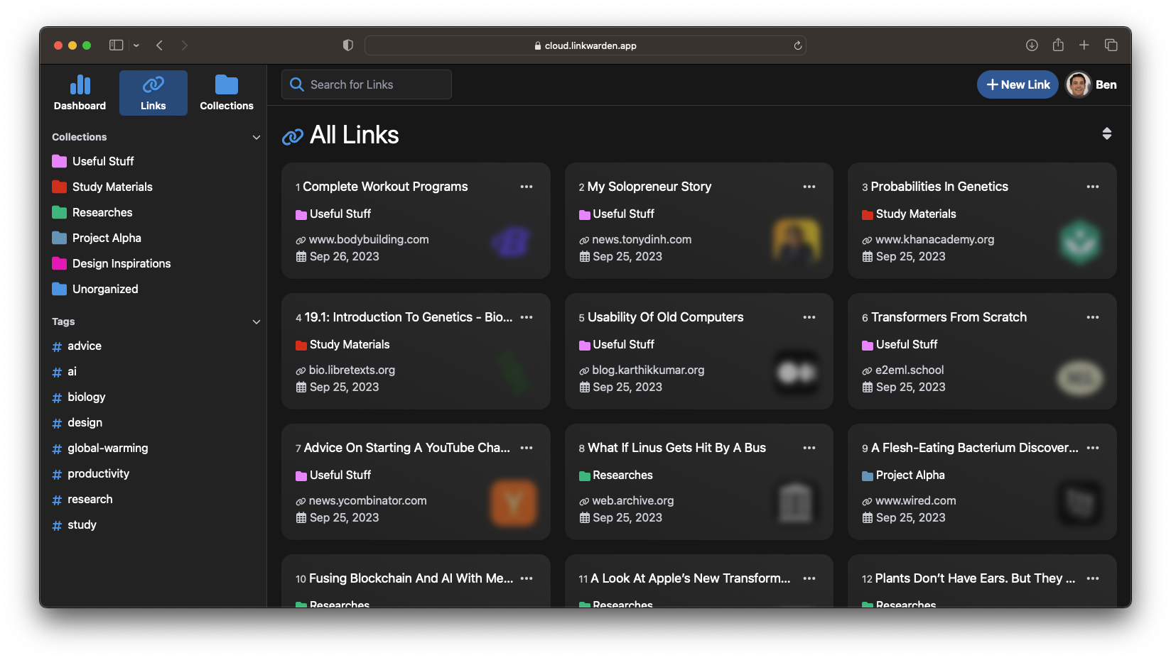 Dashboard de Linkwarden